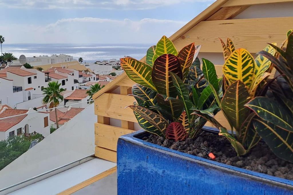 Serenity Ocean View 1br With Pool In Valley