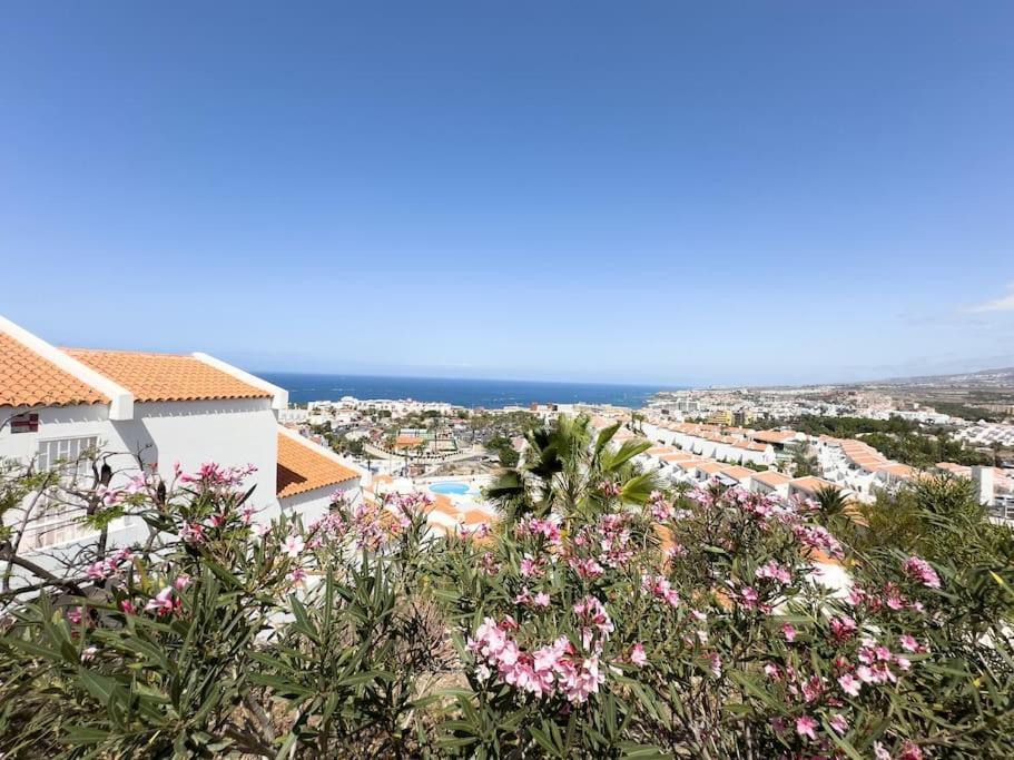 Serenity Ocean View 1br With Pool In Valley Costa Adeje (Tenerife)